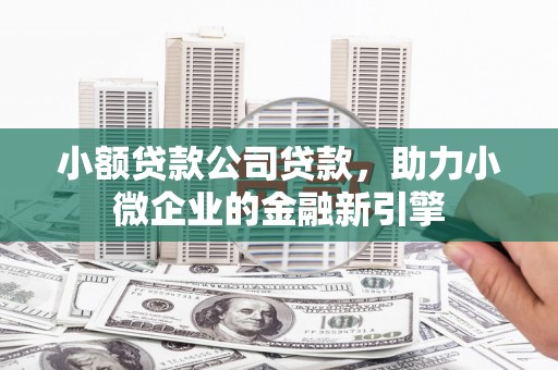 泌阳小额贷款公司贷款，助力小微企业的金融新引擎