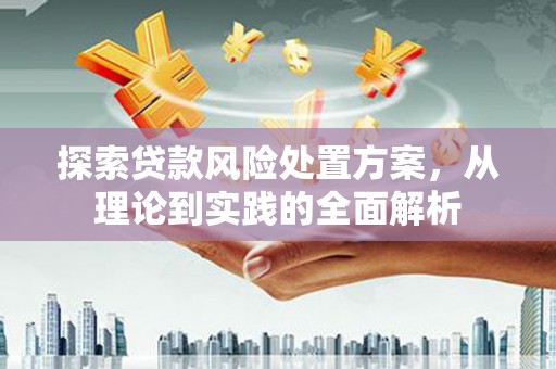 泌阳探索贷款风险处置方案，从理论到实践的全面解析