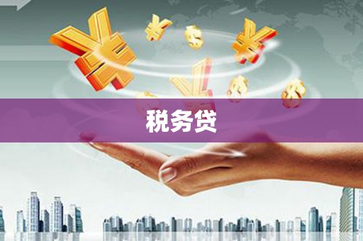 泌阳税务贷