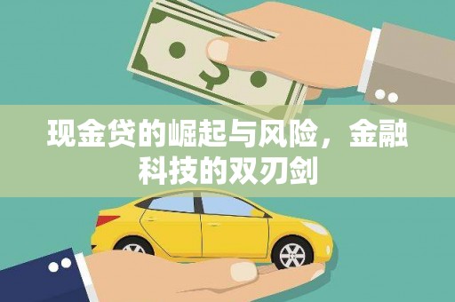 泌阳现金贷的崛起与风险，金融科技的双刃剑
