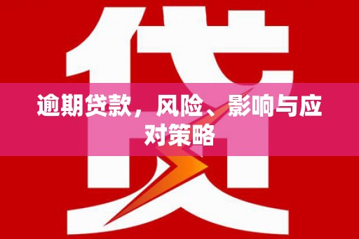 泌阳逾期贷款，风险、影响与应对策略