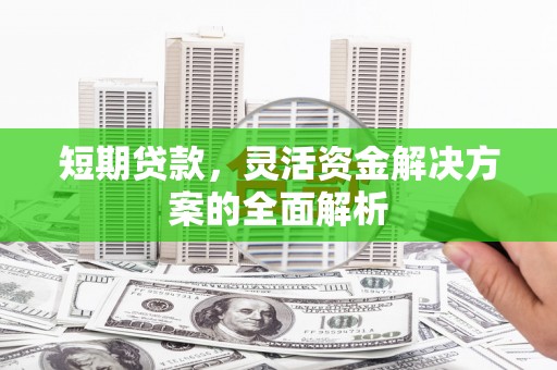 泌阳短期贷款，灵活资金解决方案的全面解析