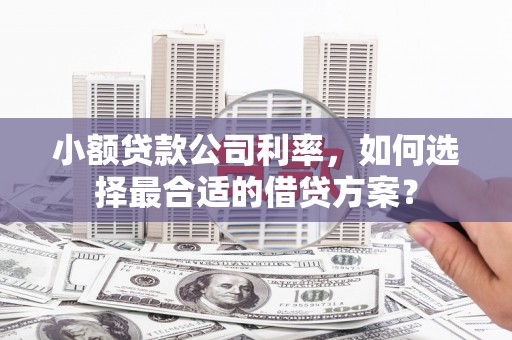 泌阳小额贷款公司利率，如何选择最合适的借贷方案？
