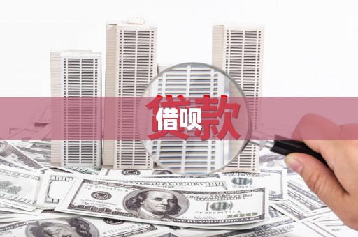 泌阳借呗