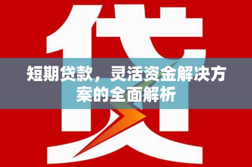 泌阳短期贷款，灵活资金解决方案的全面解析