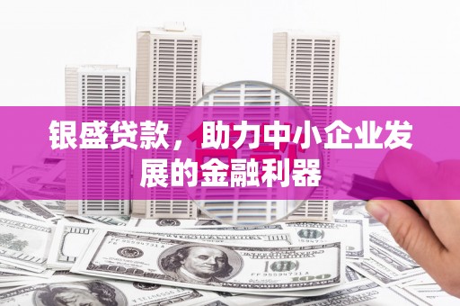 泌阳银盛贷款，助力中小企业发展的金融利器