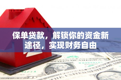 泌阳保单贷款，解锁你的资金新途径，实现财务自由