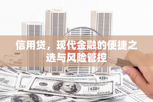 泌阳信用贷，现代金融的便捷之选与风险管控