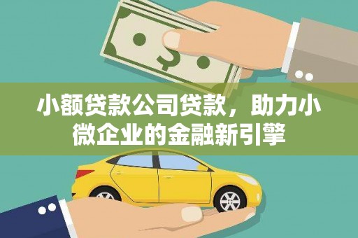 泌阳小额贷款公司贷款，助力小微企业的金融新引擎