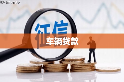 泌阳车辆贷款