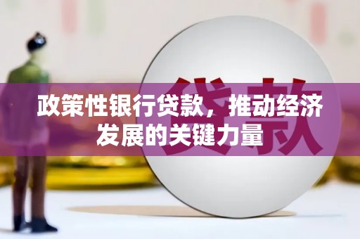 泌阳政策性银行贷款，推动经济发展的关键力量