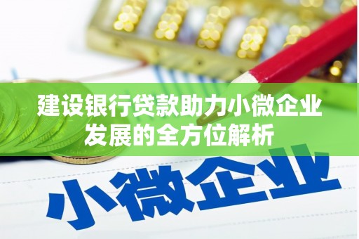 泌阳建设银行贷款助力小微企业发展的全方位解析