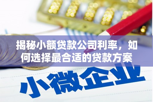 泌阳揭秘小额贷款公司利率，如何选择最合适的贷款方案