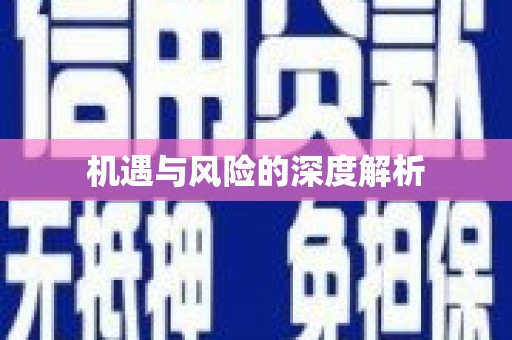 泌阳机遇与风险的深度解析