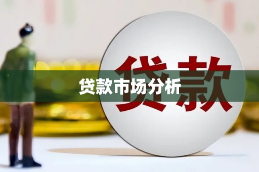 泌阳贷款市场分析