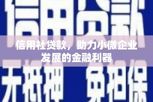 泌阳信用社贷款，助力小微企业发展的金融利器