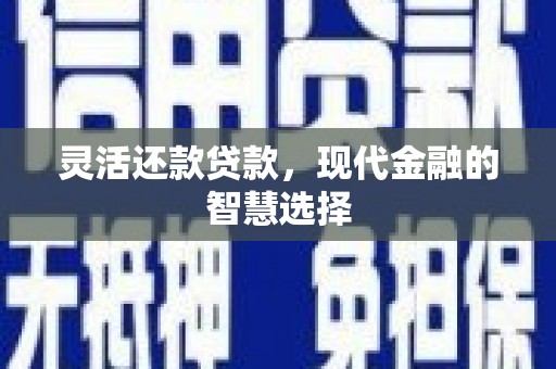 泌阳灵活还款贷款，现代金融的智慧选择