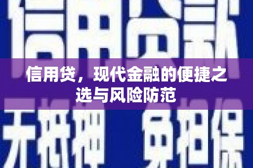 泌阳信用贷，现代金融的便捷之选与风险防范
