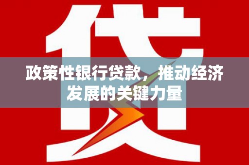 泌阳政策性银行贷款，推动经济发展的关键力量