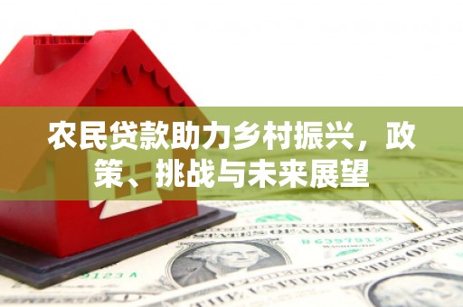泌阳农民贷款助力乡村振兴，政策、挑战与未来展望
