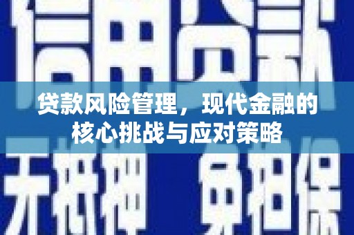 泌阳贷款风险管理，现代金融的核心挑战与应对策略