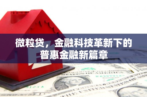 泌阳微粒贷，金融科技革新下的普惠金融新篇章