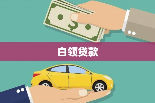 泌阳白领贷款