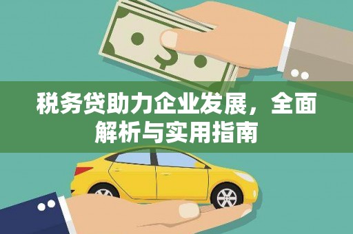 泌阳税务贷助力企业发展，全面解析与实用指南