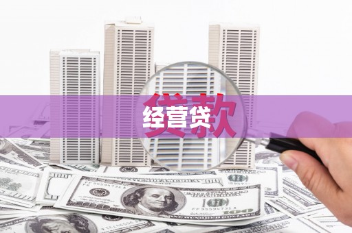 泌阳经营贷