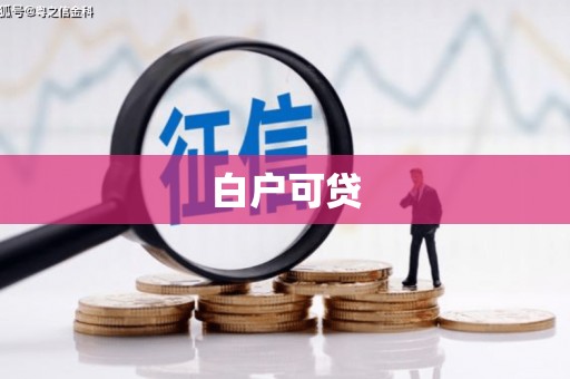 泌阳白户可贷