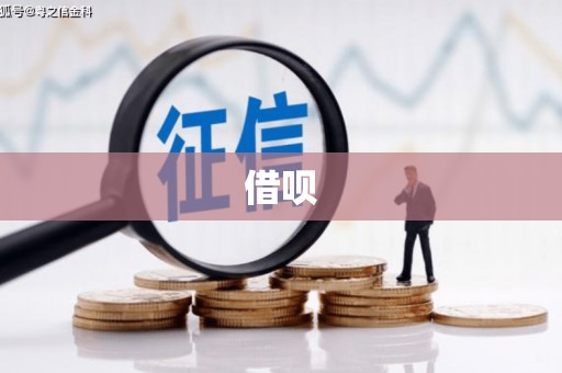 泌阳借呗