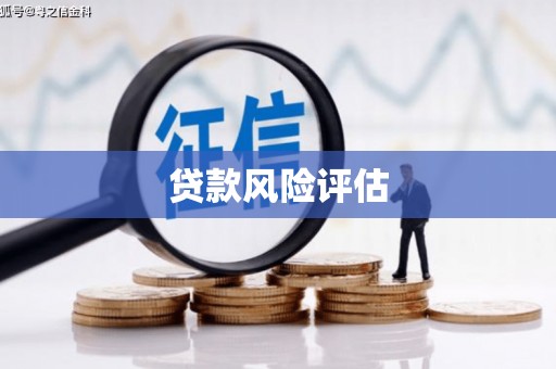 泌阳贷款风险评估