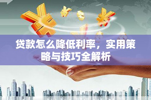 泌阳贷款怎么降低利率，实用策略与技巧全解析