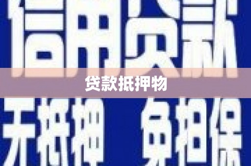 泌阳贷款抵押物