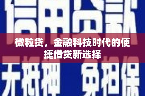 泌阳微粒贷，金融科技时代的便捷借贷新选择