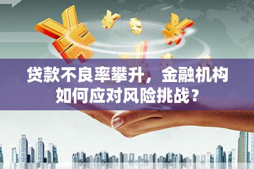 泌阳贷款不良率攀升，金融机构如何应对风险挑战？