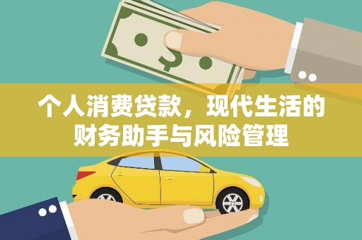 泌阳个人消费贷款，现代生活的财务助手与风险管理