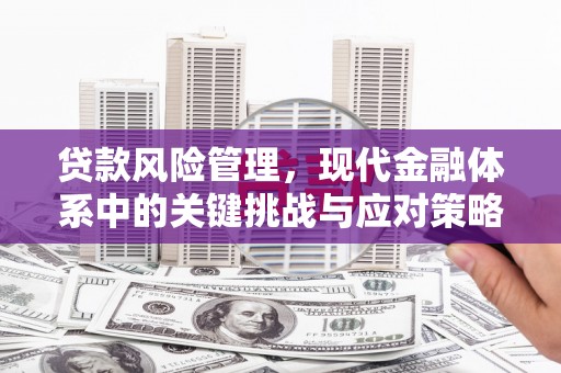 泌阳贷款风险管理，现代金融体系中的关键挑战与应对策略
