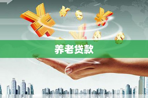 泌阳养老贷款