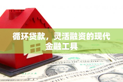 泌阳循环贷款，灵活融资的现代金融工具