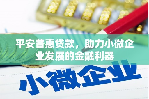 泌阳平安普惠贷款，助力小微企业发展的金融利器
