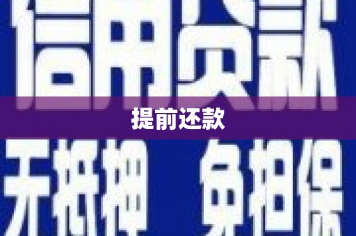 泌阳提前还款