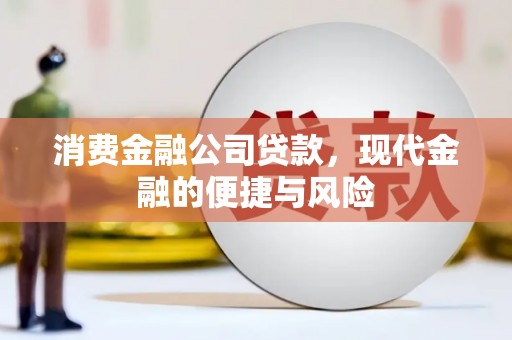 泌阳消费金融公司贷款，现代金融的便捷与风险