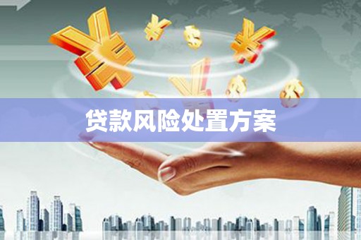 泌阳贷款风险处置方案