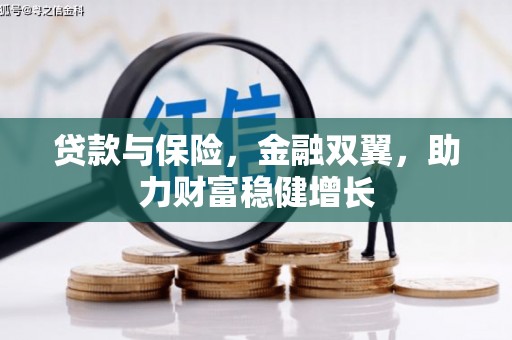 泌阳贷款与保险，金融双翼，助力财富稳健增长