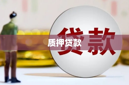泌阳质押贷款