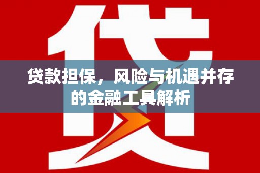 泌阳贷款担保，风险与机遇并存的金融工具解析