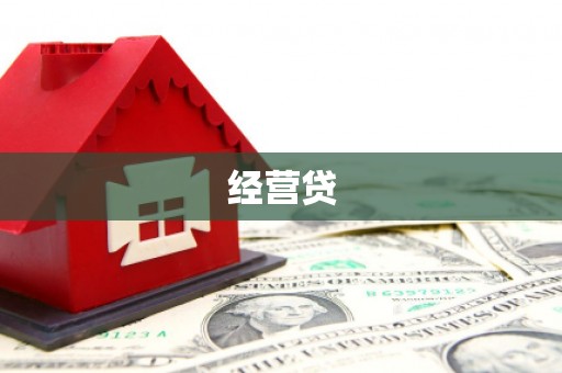 泌阳经营贷