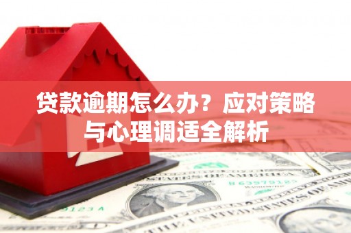 泌阳贷款逾期怎么办？应对策略与心理调适全解析