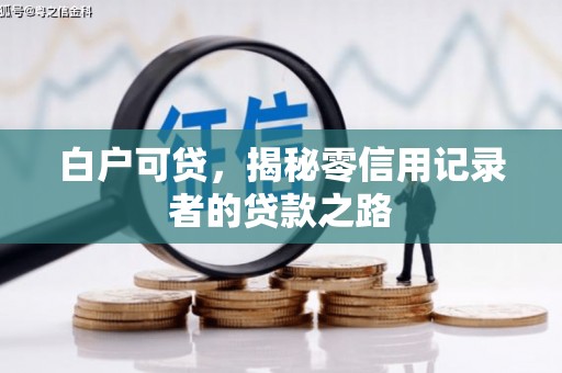 泌阳白户可贷，揭秘零信用记录者的贷款之路